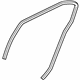 Mitsubishi MN169653 Surround Weatherstrip, Driver Side