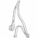 Mitsubishi 7000B181 Lap & Shoulder Belt, Passenger Side