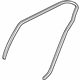 Mitsubishi MN169656 Surround Weatherstrip, Passenger Side